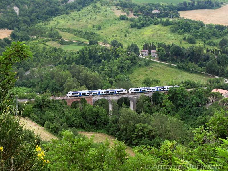 Treno di Dante lungo la Faentina