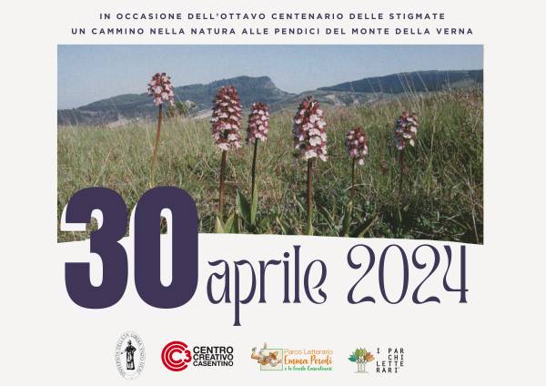Parco: La fioritura delle orchidee nell'anno dell'ottavo centenario delle Stimmate di San Francesco