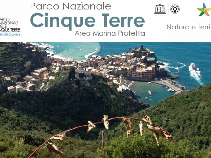 Parco: Albero creatura meravigliosa. Da Vernazza a Monterosso 
