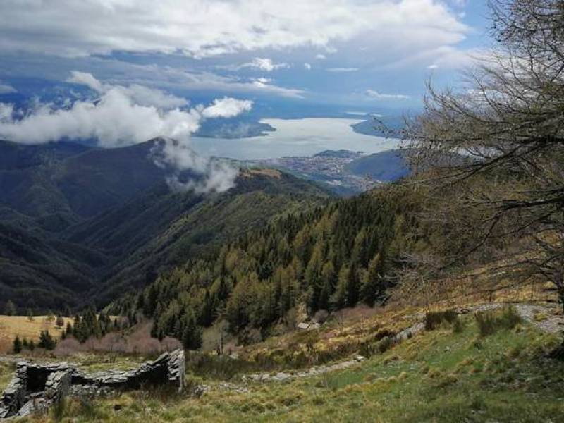 Parco: Istituzione del Parco Letterario Nino Chiovini nel Parco Nazionale Val Grande
