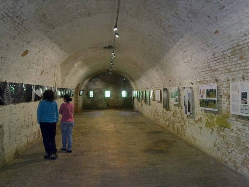 il progetto  del museo di Virgilio nel forte di Pietole