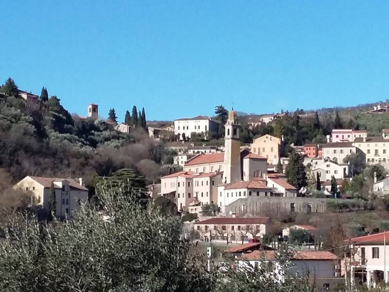 Visite guidate ad Arquà Petrarca, il Borgo del Poeta