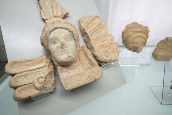 Il Casentino prima del Casentino: la storia antica della valle.Il Museo Archeologico Piero Albertoni