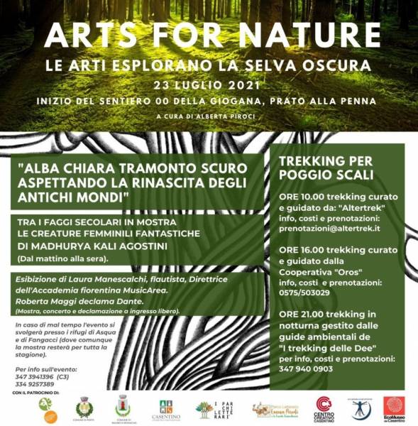 Arts for Nature”,51 opere nelle faggete del Parco Nazionale delle Foreste Casentinesi