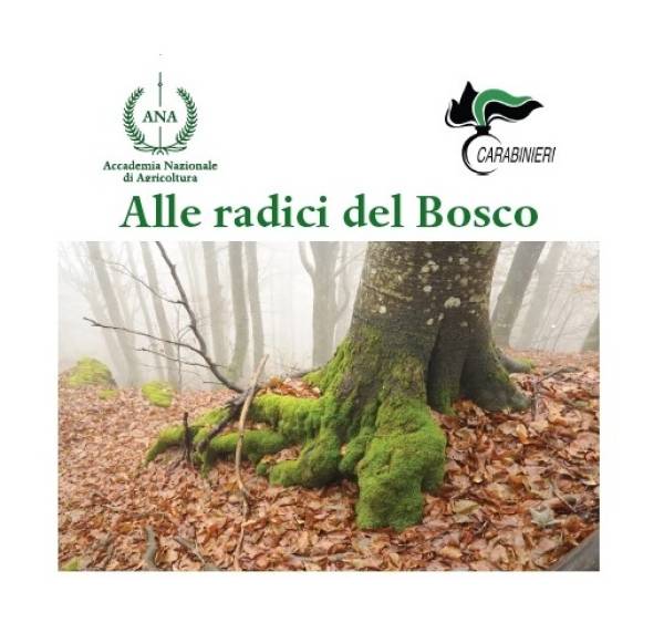 Foto: Alle radici del Bosco. Comando Carabinieri Forestale Emilia Romagna