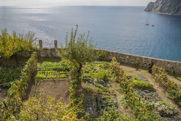 Parco: Andar per erbi  a Monterosso al Mare