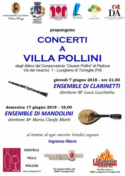 Foto Concerti a Villa Pollini 2