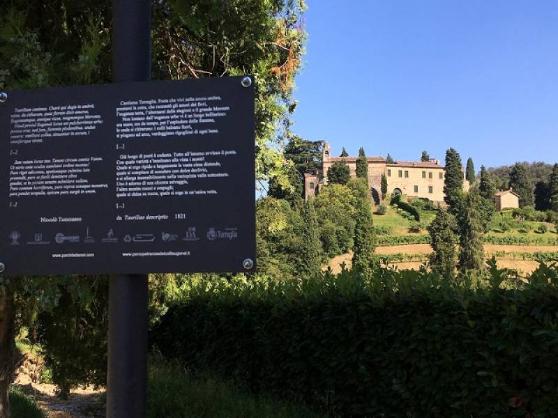 Foto Giornata della Poesia e delle Foreste nel Parco Petrarca 1