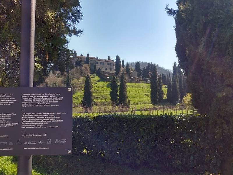 Foto Giornata della Poesia e delle Foreste nel Parco Petrarca.  Di Claudia Baldin 1