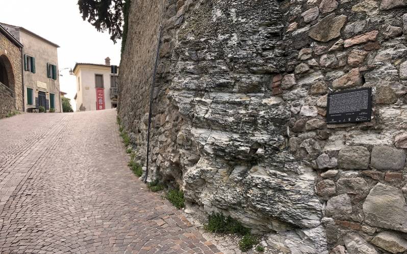Foto Visite guidate ad Arquà Petrarca, il Borgo del Poeta 4