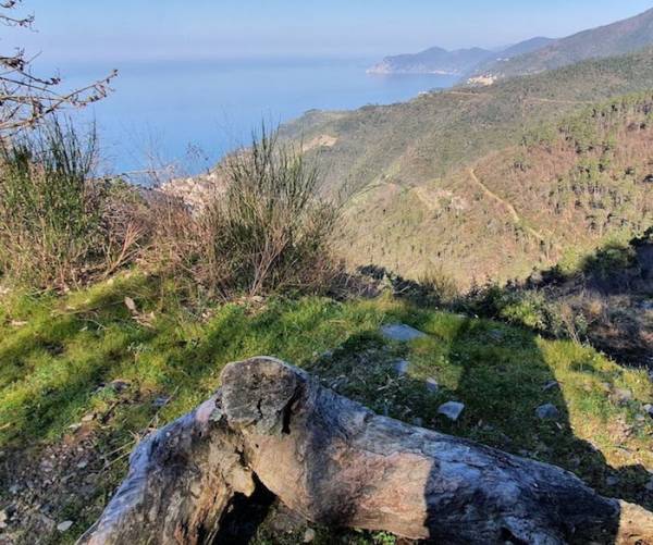 Foto Sui sentieri alti di Riomaggiore tra natura e antiche vie di pellegrinaggio nel Parco Cinque Terre 2