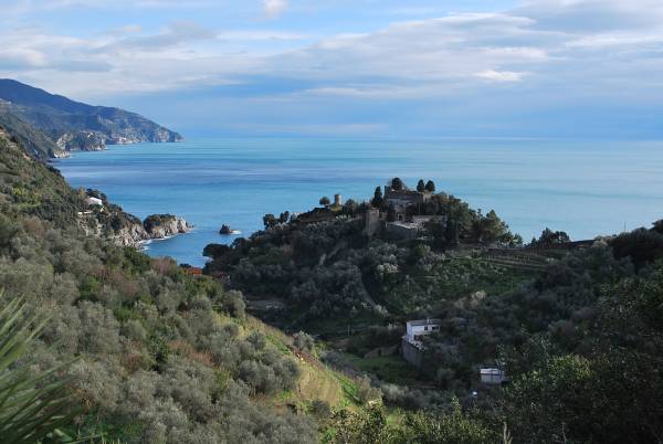 Foto I percorsi naturalistico letterari del Parco Letterario Eugenio Montale e delle Cinque Terre - 2021 2