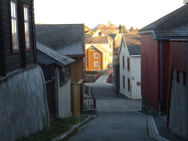 Foto Passeggiata sulle orme del pittore Harald Sohlberg a Røros  6
