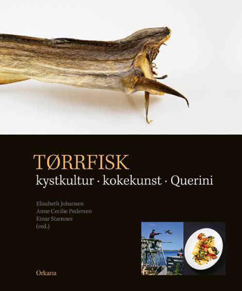Foto Giornate della Poesia e dell'Acqua a Røst (Isole Lofoten, Norvegia).  5